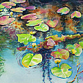 Waterlilies in Shadow