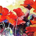 Flaming Poppies